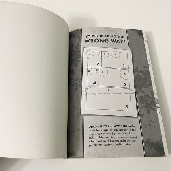 Demon Slayer Kimetsu no Yaiba Vol. 1 Manga - Picture 10 of 12